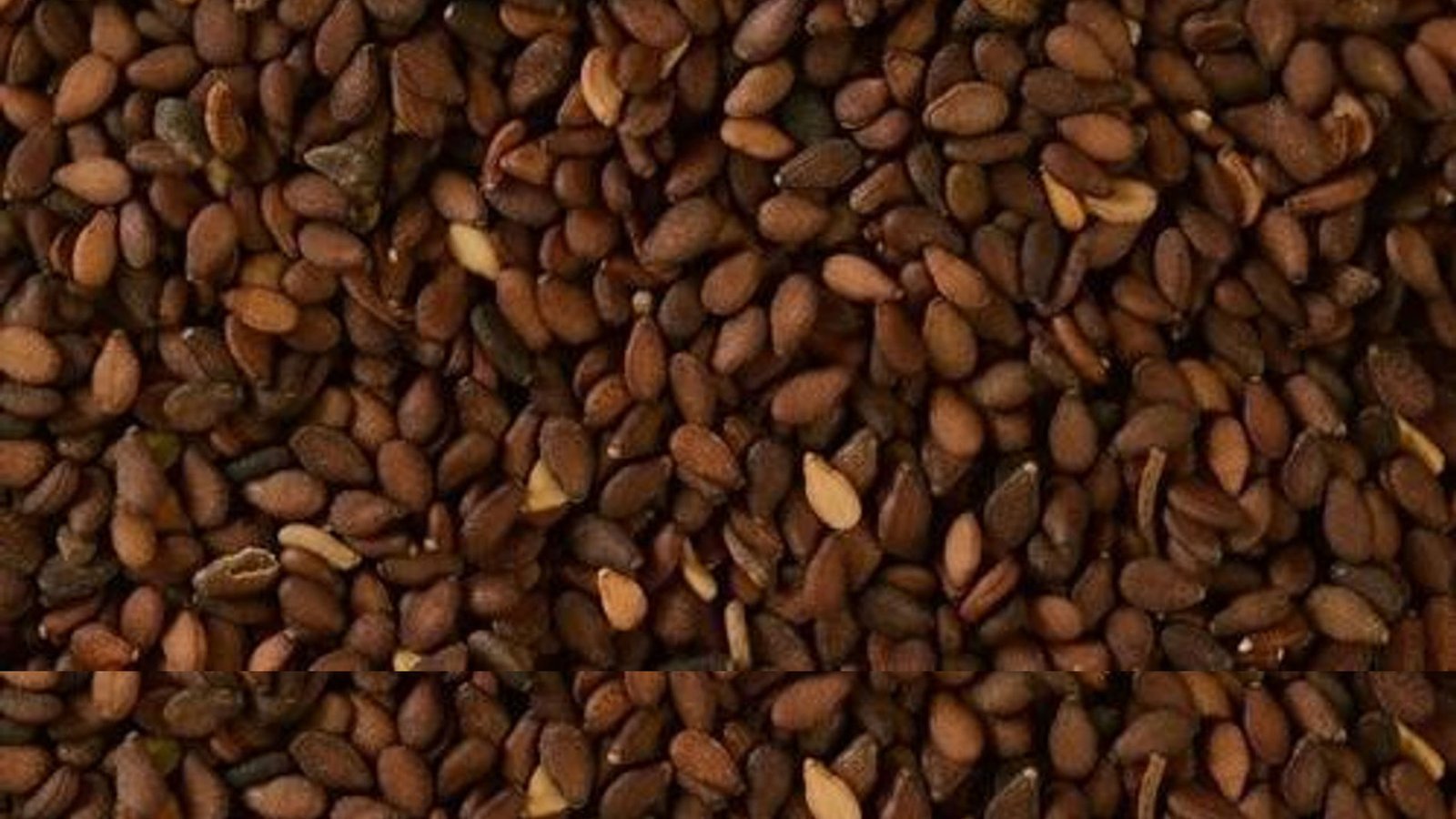 Brown Sesame Seeds